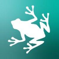 razorfrog web design logo image