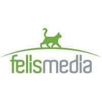 felis media group ltd sti logo image