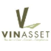 vinasset logo image