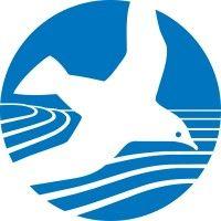 chesapeake bay foundation