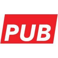 pubinteractive logo image