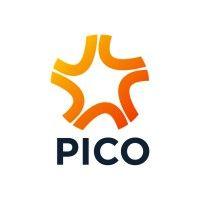 pico logo image