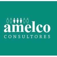 amelco consultores logo image