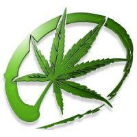 international cannabinoid research society