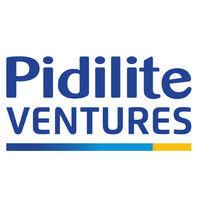 pidilite ventures logo image