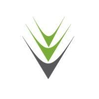 viresco solutions inc. logo image