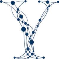 yale institute for network science logo image