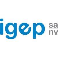 igep nv/sa logo image