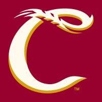 corvallis knights logo image