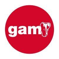 gam - solutions logo image