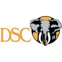 dsc logo image