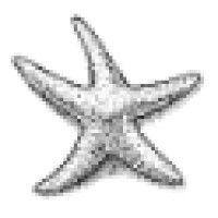 starfish international logo image