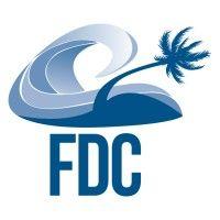 florida disaster consulting logo image