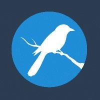 magpie health analytics logo image