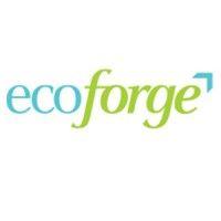 ecoforge advisors logo image