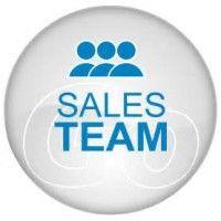 sales team doms iitr logo image