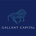 logo of Gallant Capital