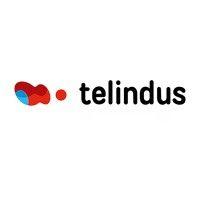 telindus luxembourg logo image