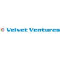 velvet ventures logo image