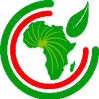 agroinfotech africa logo image