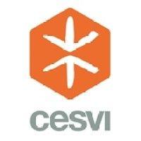 cesvi logo image