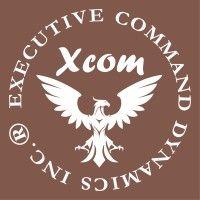 executive command dynamics inc.