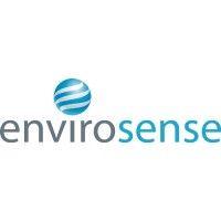 envirosense international limited logo image