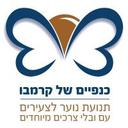 logo of כנפיים של קרמבו Krembo Wings