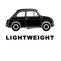 lightweight logo image