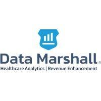 data marshall logo image