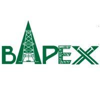 bapex - bangladesh petroleum exploration and production company limited logo image