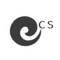 ecs evolution consulting services logo image