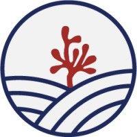 blue ocean barns logo image