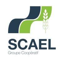 groupe coopératif scael logo image