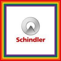 schindler group logo image