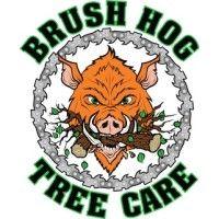 brush hog tree care inc. logo image