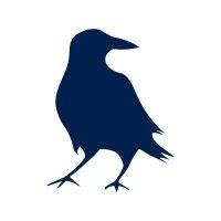 blue raven logo image