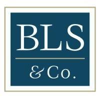 biggins lacy shapiro & company (bls & co.) logo image