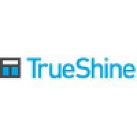 true shine window washers inc logo image