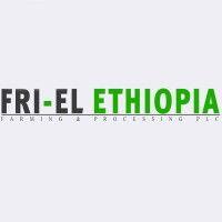 fri-el ethiopia farming and processing plc. logo image