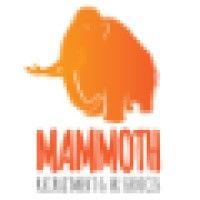 mammoth recruitment and hr services ltd logo image