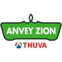 anvei-zion logo image