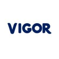 vigor logo image