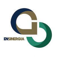 ensinergia logo image