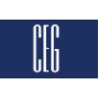 the consulting engineers group an illinois corporation logo image