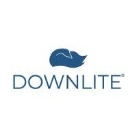 downlite logo image