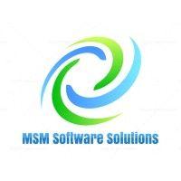 msm software solutions logo image