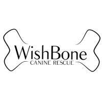 wish bone canine rescue logo image