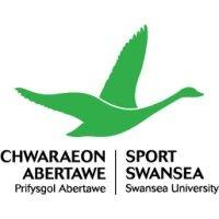 sport swansea logo image