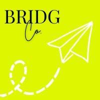 bridg co. logo image